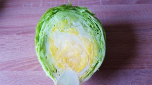 Salat, Salate, Gartensalat, Lactuca, Kopfsalat, Eisbergsalat