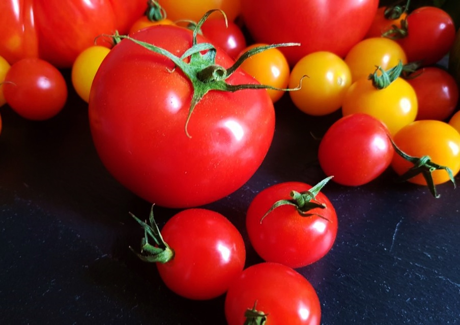 Tomate, Tomaten, Solanum lycopersicum, Tomaten Sorten