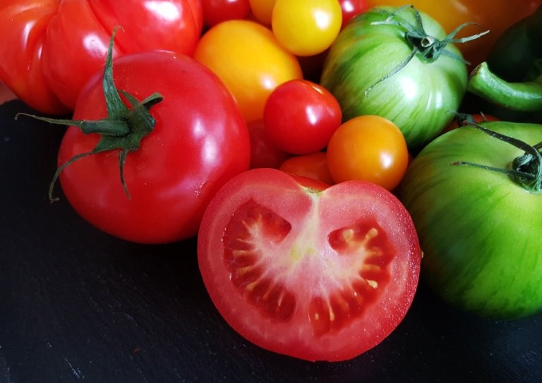 Tomate, Tomaten, Solanum lycopersicum, Tomaten Sorten