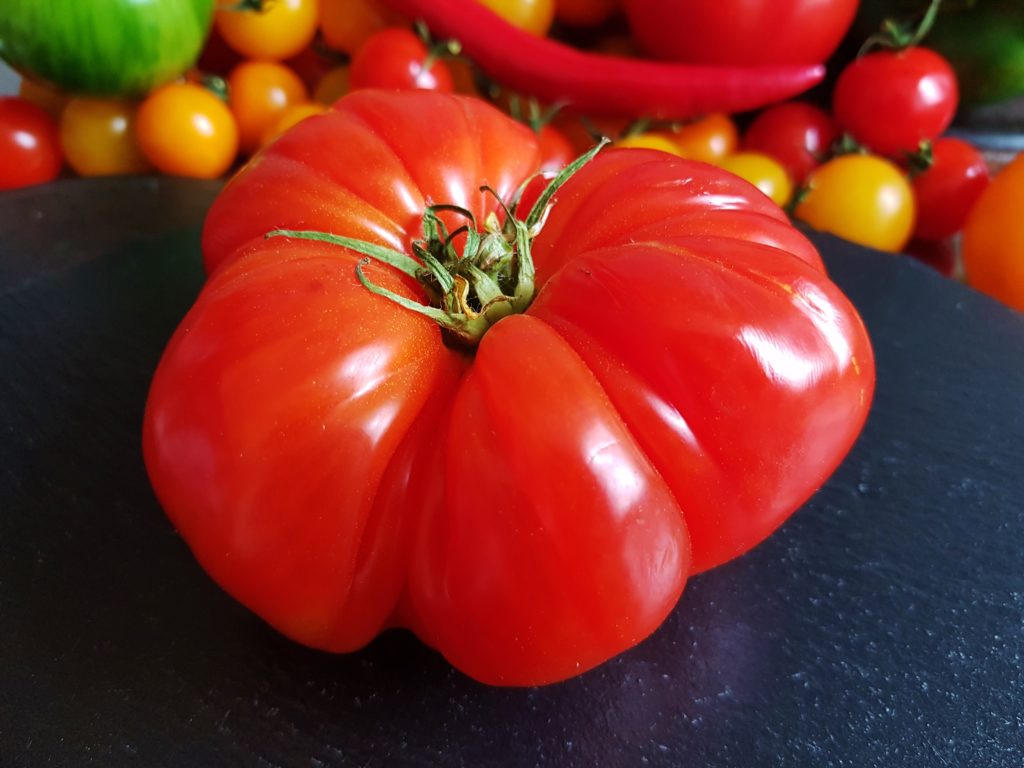 Tomate, Tomaten, Solanum lycopersicum, Tomaten Sorten