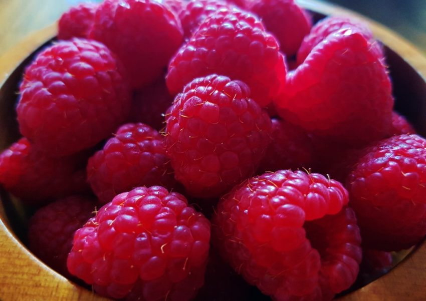 Himbeere, Himbeeren, Rubus idaeus