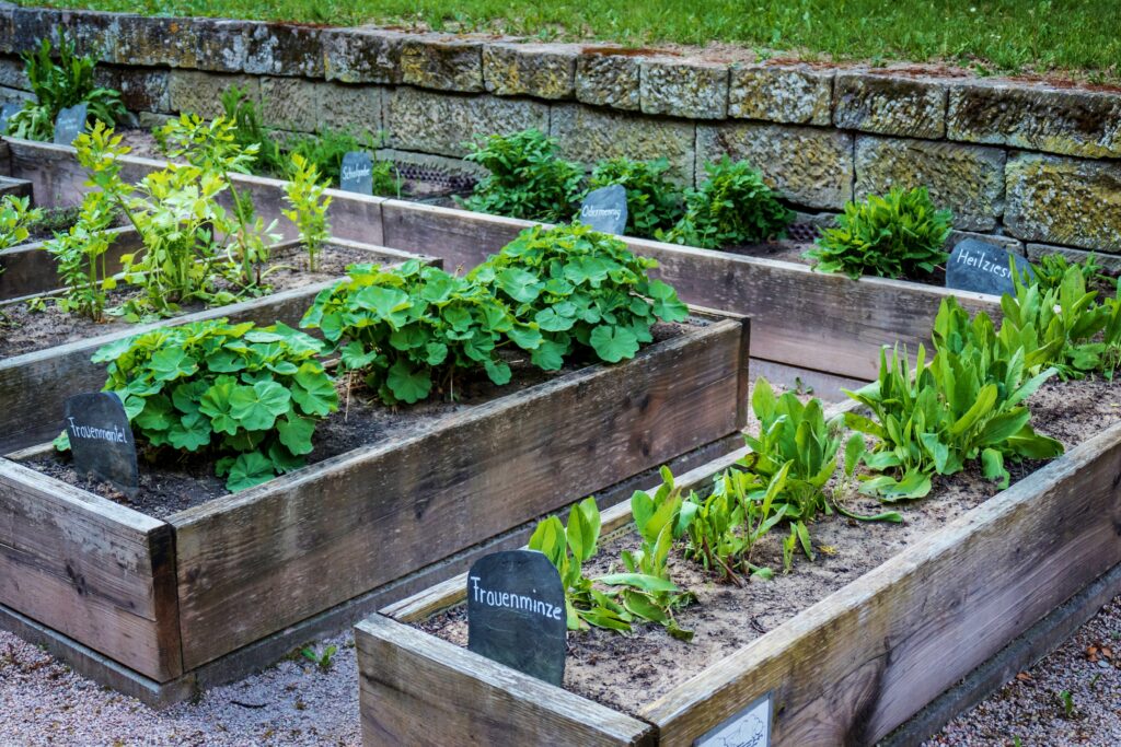 Kräutergarten, Kräuterbeet, Hochbeet