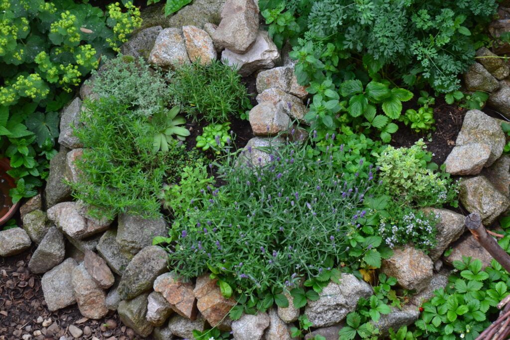 Kräutergarten, Kräuterbeet, Kräuterspirale