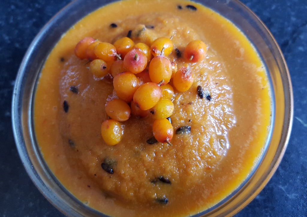 Sanddorn, Hippophae rhamnoides, Sanddorn Sorbet