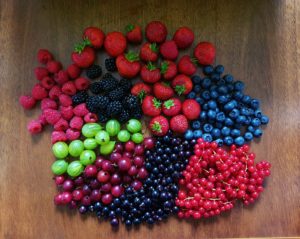 Obst, Gartenobst, Beerenobst, Beerenfrüchte