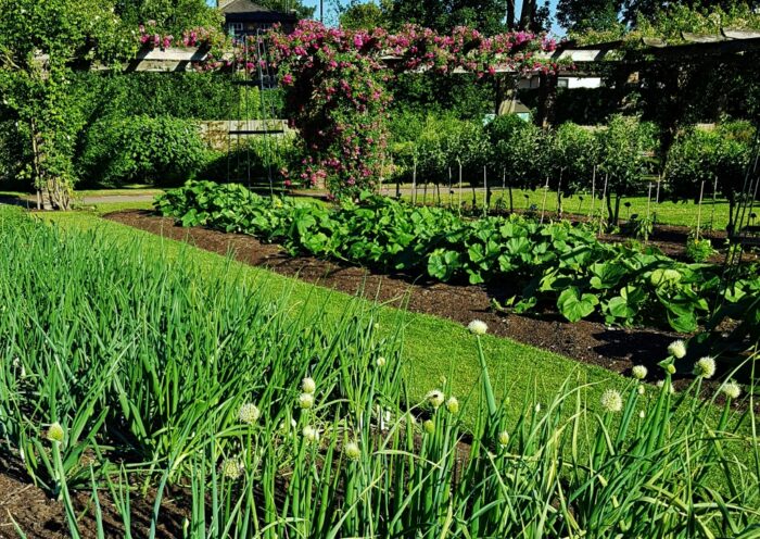 Gartenarten, Gemüsegarten, Gartengemüse, Botanischer Garten, London, Royal Botanic Gardens London