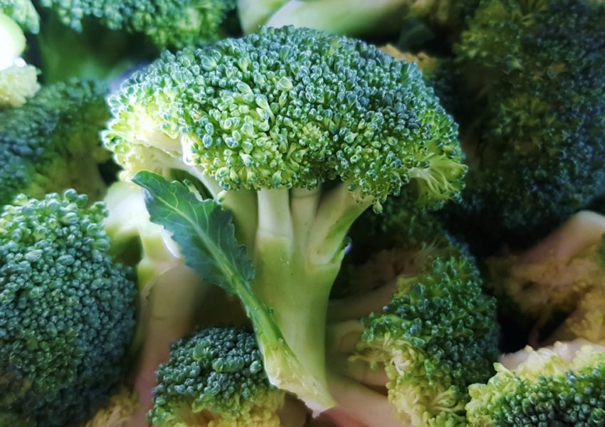 Brokkoli, Broccoli, Brassica oleracea