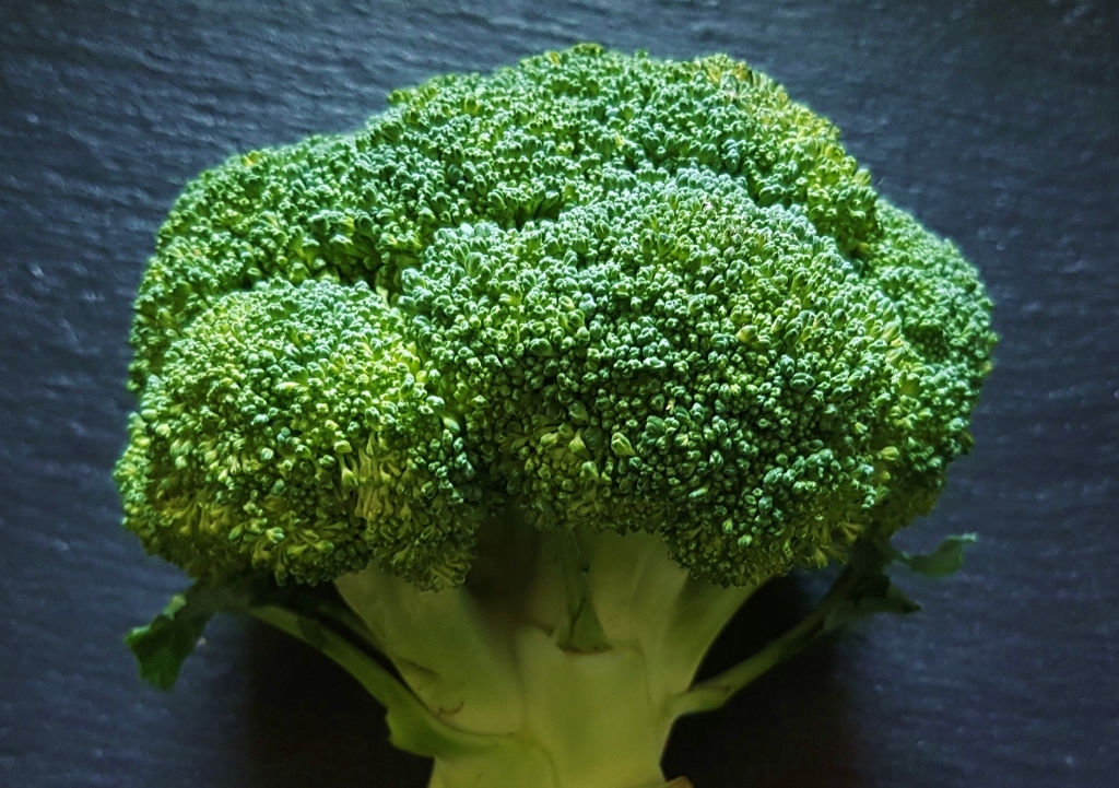 Brokkoli, Broccoli, Brassica oleracea