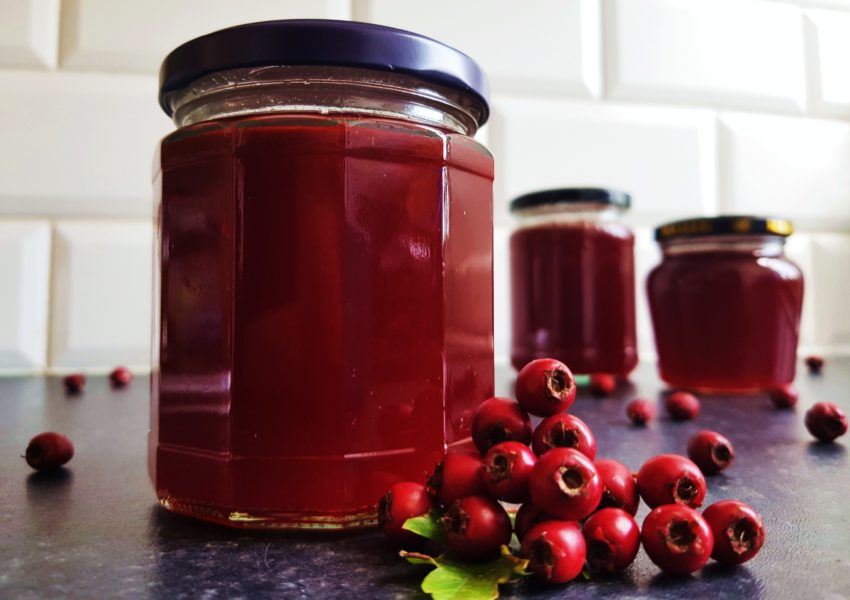 Weißdorn-Gelee, Weißdorn Marmelade, Weißdorn, Hagedorn, Crataegus