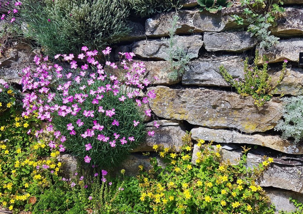 Steingarten, Steinmauer, Fassadenbegrünung