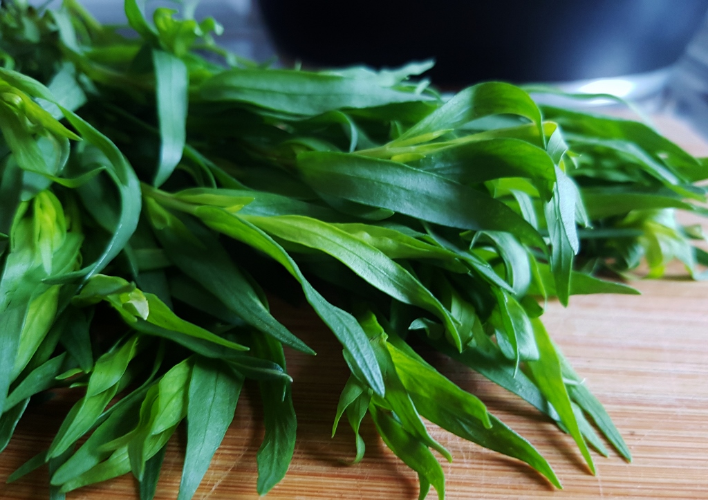 Estragon, Tarragon, Artemisia, Artemisia dracunculus, Beifuß Wermut und Estragon