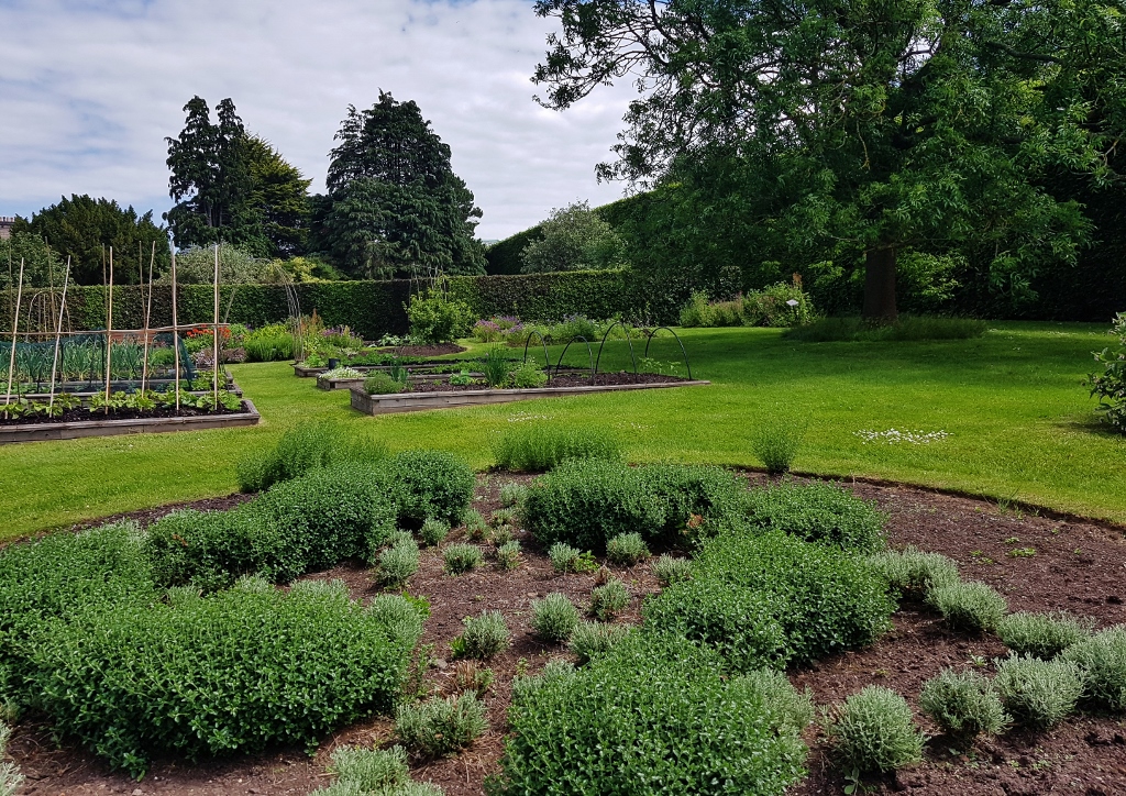 Kräuter, Kräutergarten, Kräuterbeet, Herb Garden, Royal Botanic Garden Edinburgh