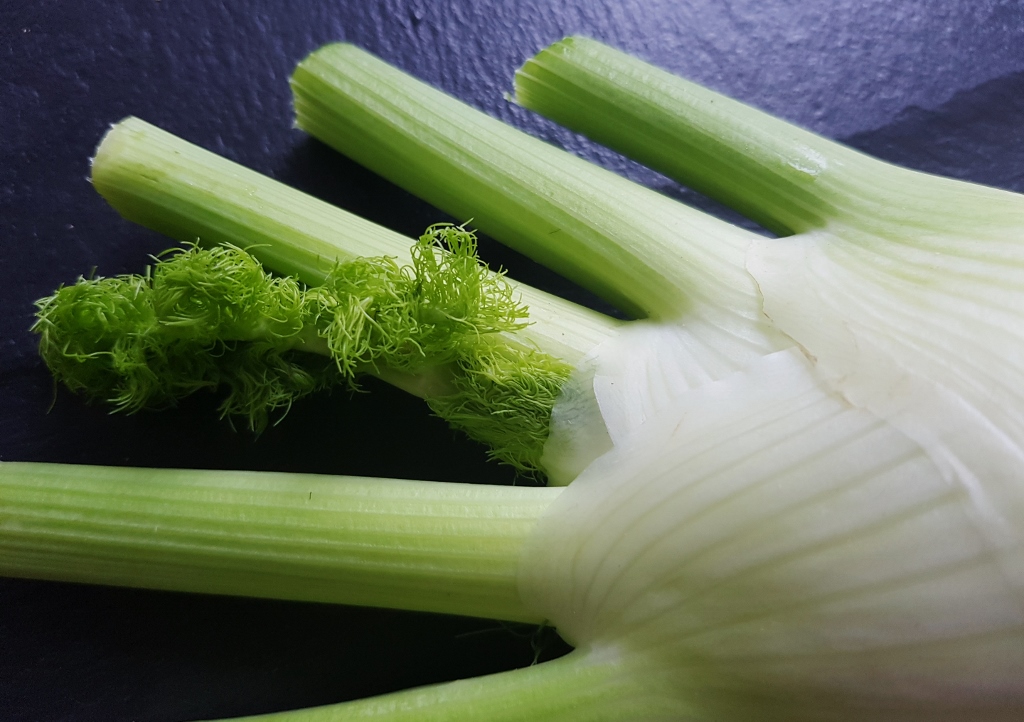 Fenchel, Foeniculum, Foeniculum vulgare