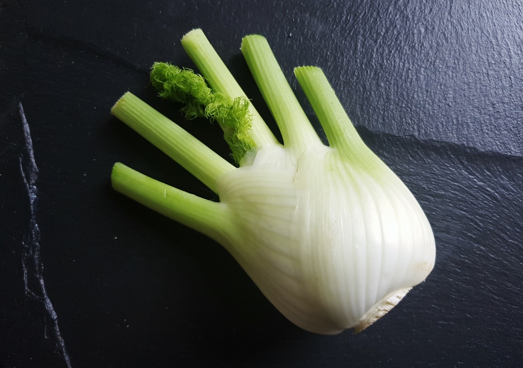 Fenchel, Foeniculum, Foeniculum vulgare