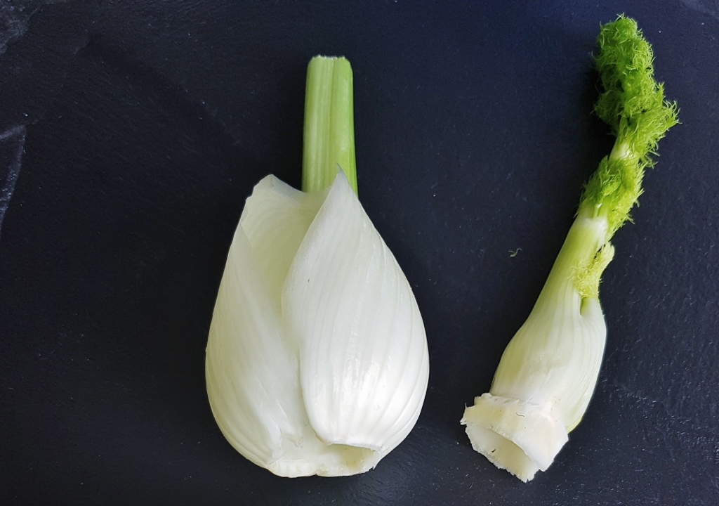 Fenchel, Foeniculum, Foeniculum vulgare