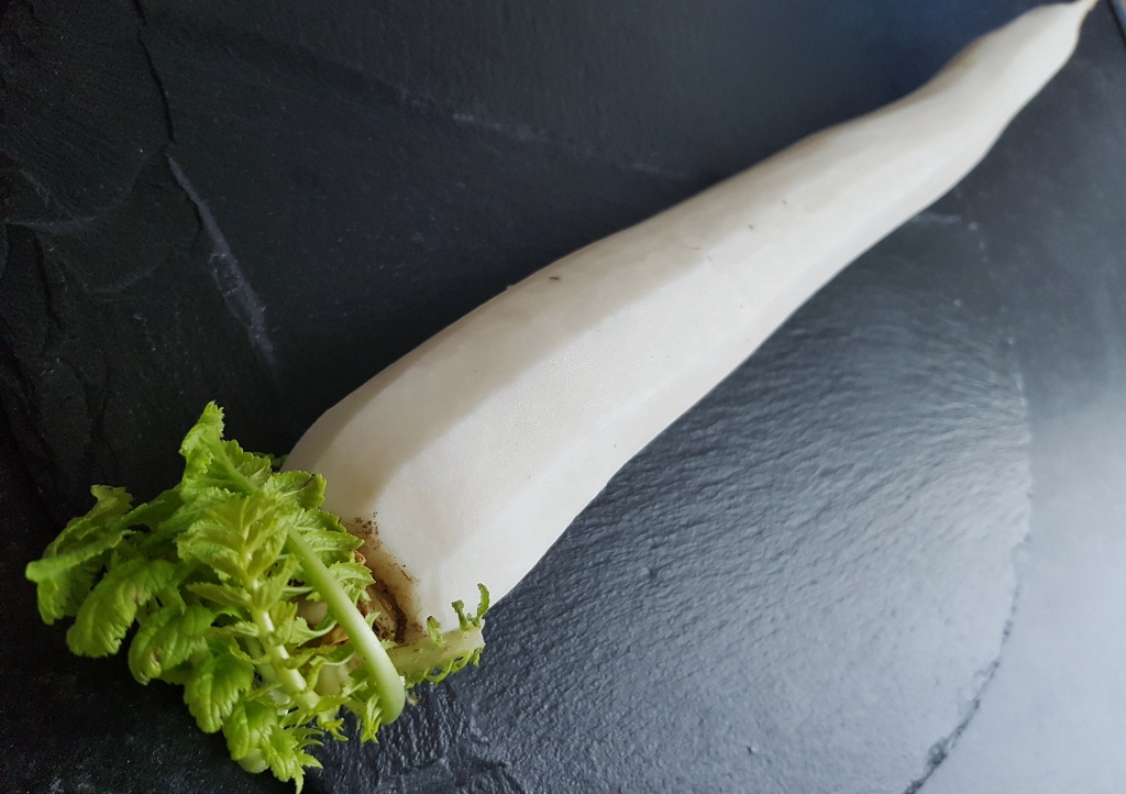 Rettich, Garten-Rettich, Weißer Winterrettich, Bier-Rettich, Daikon, Raphanus, Raphanus sativus