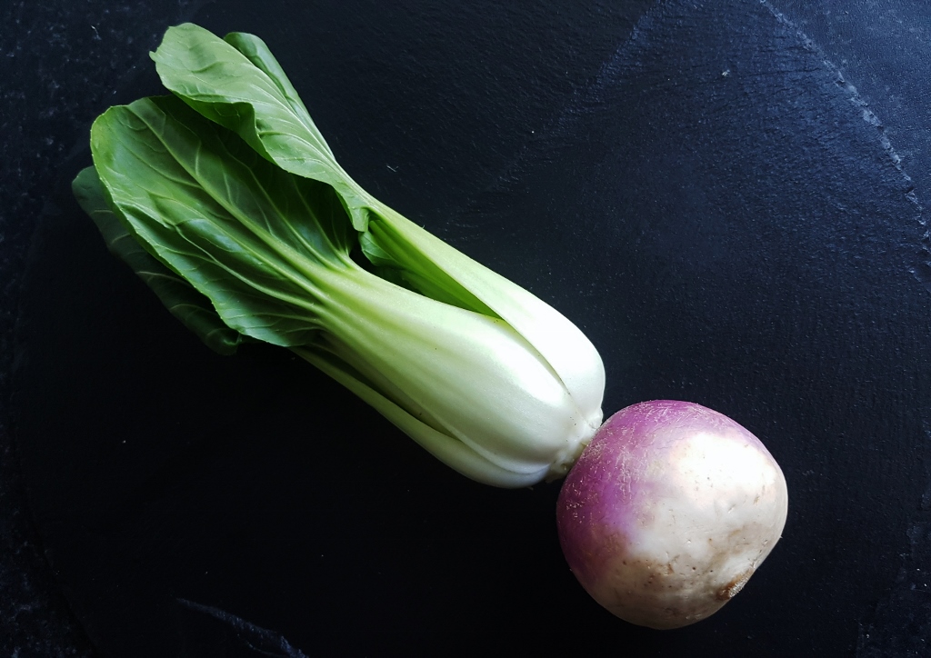 Rüben, Rübsen, Pak Choi, Herbstrübe, Brassica rapa