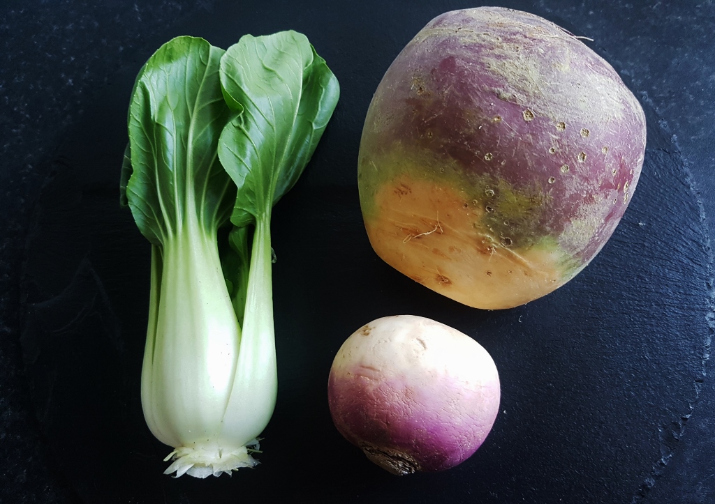 Rübsen, Pak Choi, Herbstrübe, Rapswurzel, Brassica rapa, Brassica napus