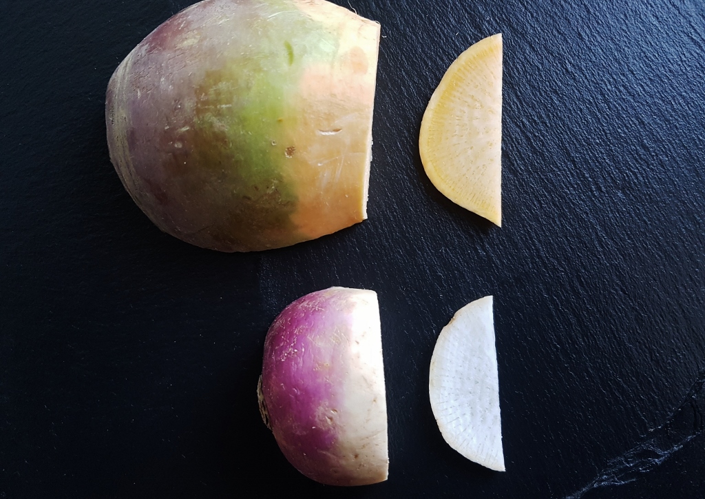Rüben, Rübsen, Herbstrübe, Rapsrübe, Rapswurzel, Rutabaga, Swede, Brassica rapa subsp. sativus, Brassica napus