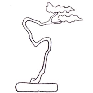 Bonsai, Bonsai Formen, Bunjingi, Literatenbonsai