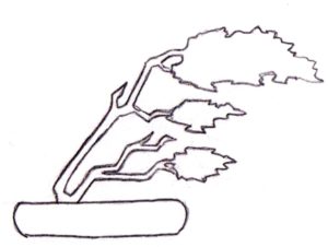 Bonsai, Bonsai Formen, Fukinagashi, windgepeitschter Bonsai, windgepeitschte Form
