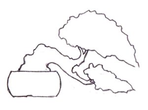 Bonsai, Bonsai Formen, Han-Kengai, Halbkaskade