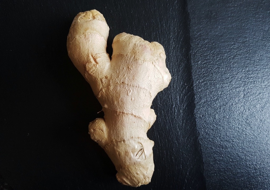 Ingwer, Zingiber, Zingiber officinale, Ingwergewächse, Ingwerpflanzen
