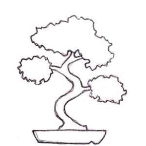 Bonsai, Bonsai Formen, Moyogi
