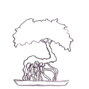 Bonsai, Bonsai Formen, Neagari, Bonsai mit Luftwurzeln, Luftform