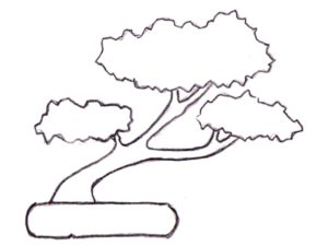 Bonsai, Bonsai Formen, Shakan, geneigte Form