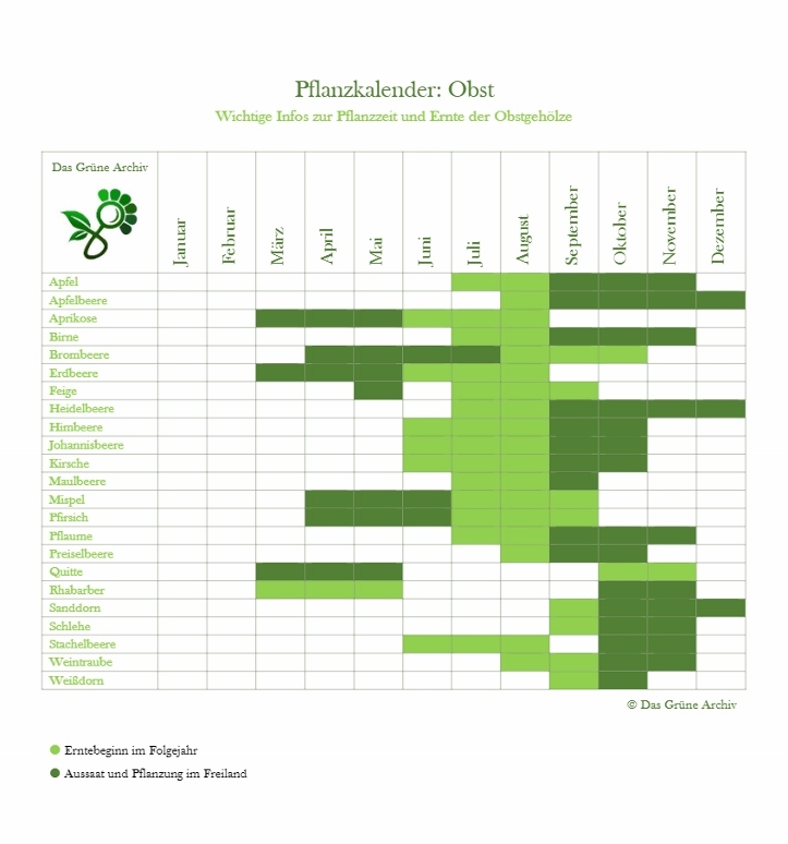 Gartenkalender, Aussaatkalender, Pflanzkalender, Obst