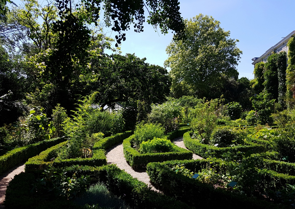 Garten, Gartenarchiv, Gartenlabyrinth, Heckenpflanzen, Hecke, Hecken, Gartenhecke, Labyrinth, Botanischer Garten Amsterdam
