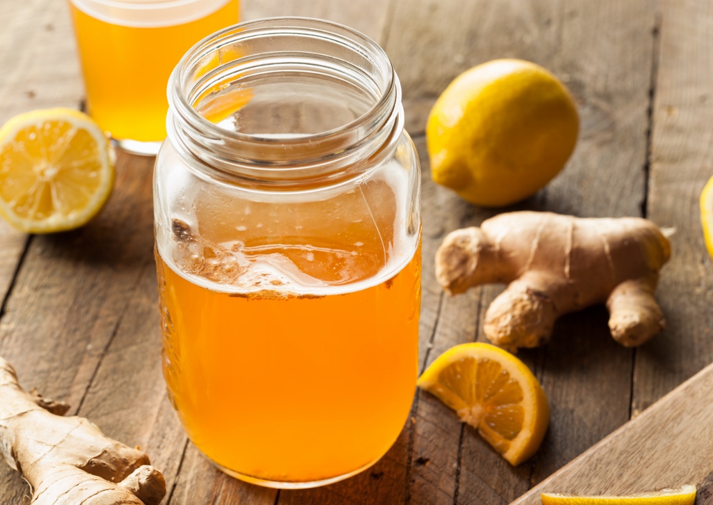 Probiotika, pflanzliche Probiotika, Probiotikum, fermentierte Lebensmittel, vegan, probiotisch, probiotische Lebensmittel, Kombucha