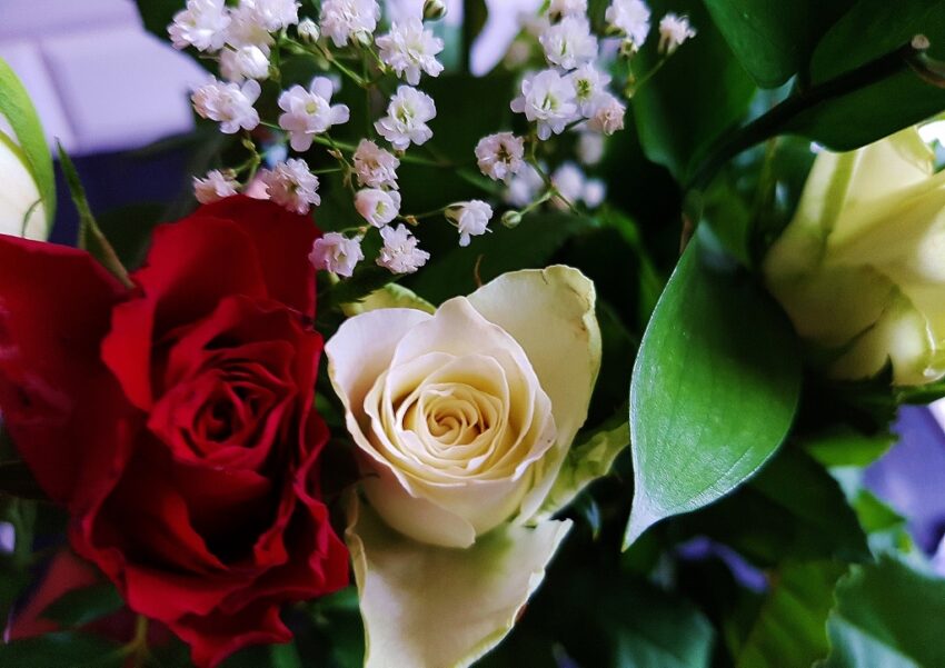 Beltane, Beltaine, Beltuinn, Walpurgisnacht, Maifeiertag, Farben, Blumen, Kräuter, Rituale, Bräuche, Traditionen, Blumen zum Valentinstag