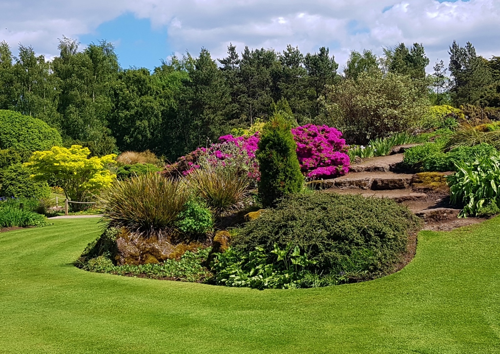 Steingarten, Pflanzen, Pflanzenarchiv, Botanischer Garten Edinburgh, Royal Botanic Gardens Edinburgh