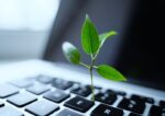 grüne Digitalnomaden, digitale Nomaden, Digitalnomaden, grüne Jobs, grüne Berufe, nachhaltige Berufe, grüne Stellenangebote, grüne Werbung, Green Marketing, grüne Online-Werbung, grüne Unternehmen, Nachhaltigkeit