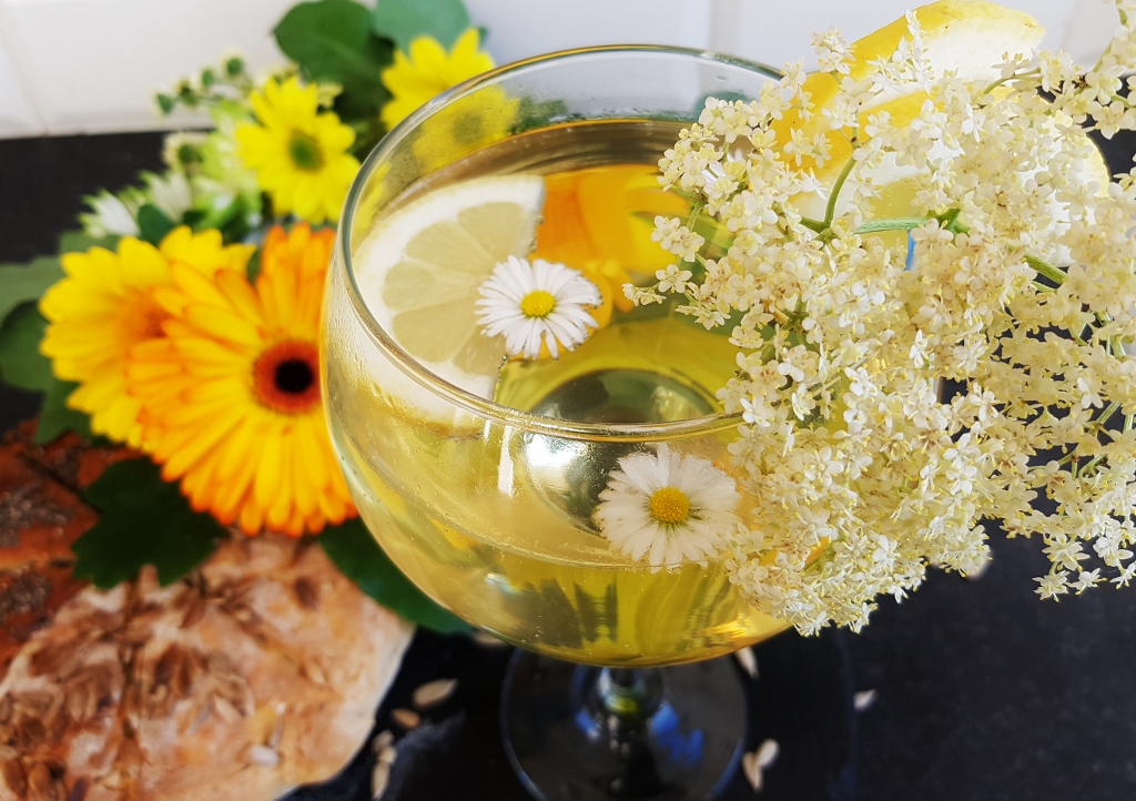 Holunder, Schwarzer Holunder, Sambucus, Sambucus nigra, Holunderblütensaft