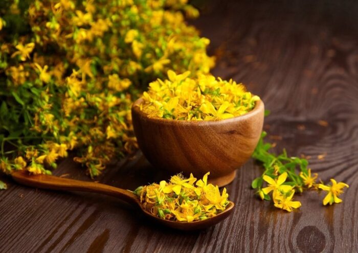 Johanniskraut, Echtes Johanniskraut, Hypericum, Hypericum perforatum