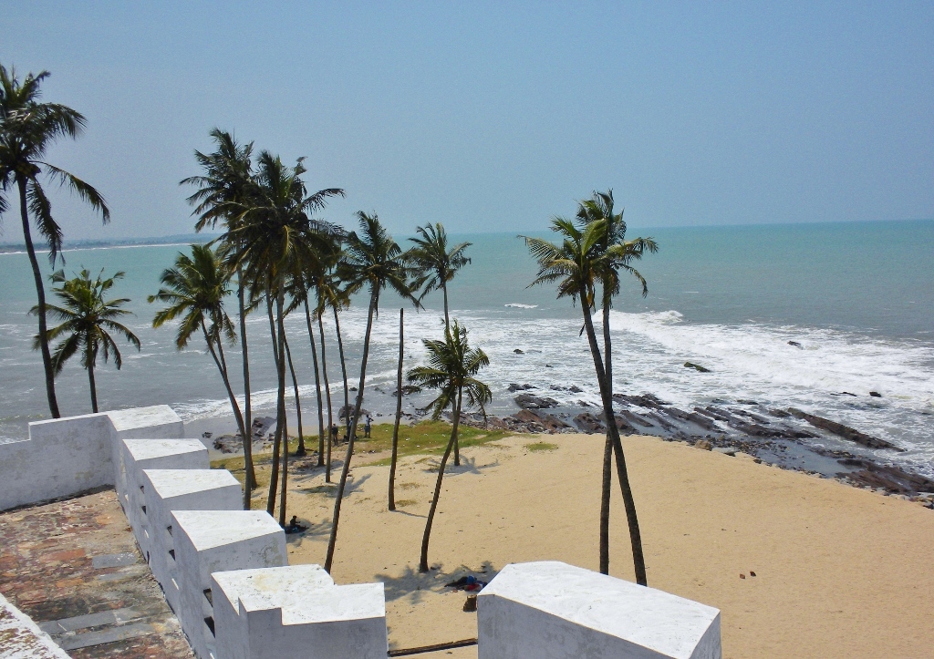 Palme, Palmen, Kokospalme, Kokospalmen, Cape Coast, Ghana, West-Afrika