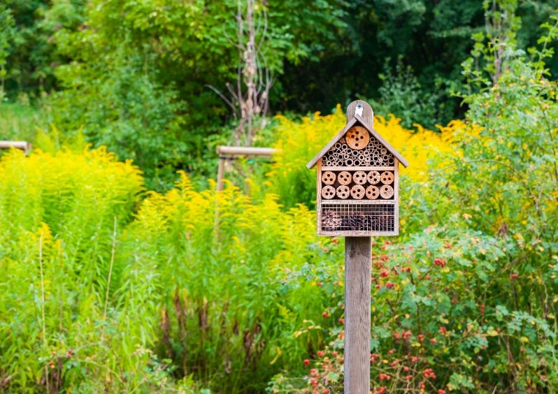 Bienen, Bienenweide, Bienenstock, Bienenschutz, Umweltschutz, Artenschutz, Nachhaltigkeit, Insektenhotel