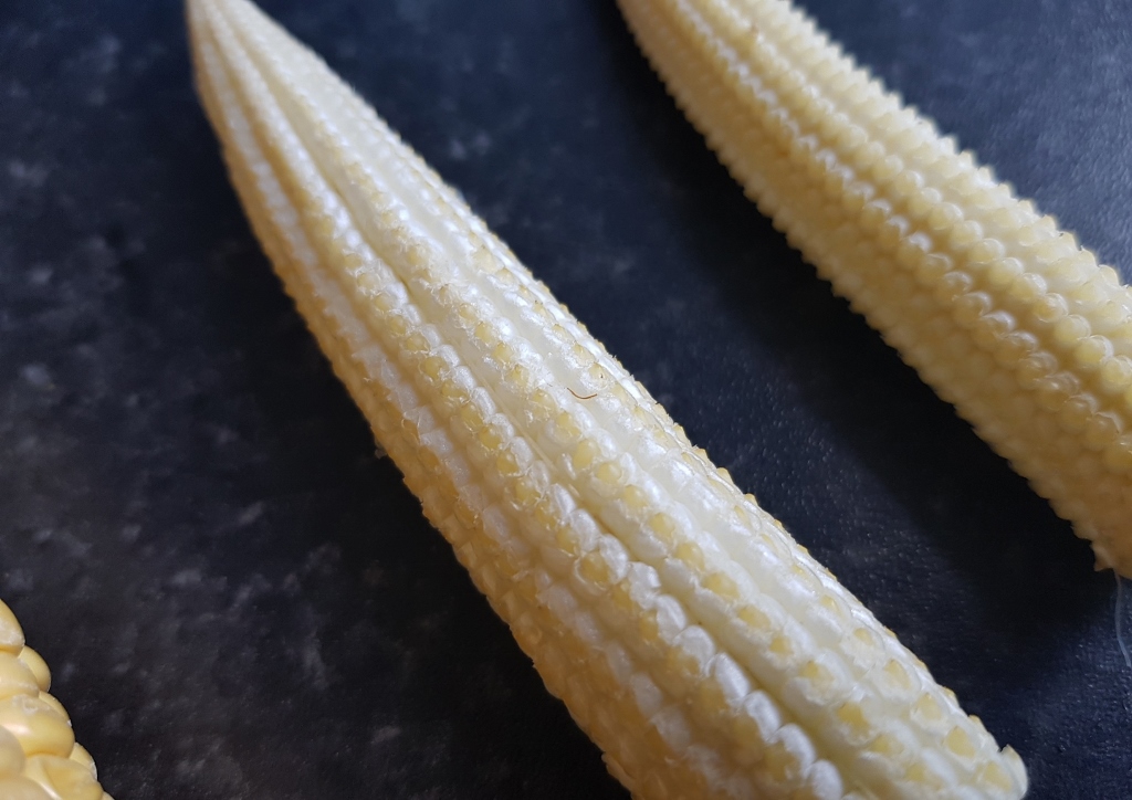 Mais, Maiskolben, Zea mays, Zuckermais, Baby-Mais