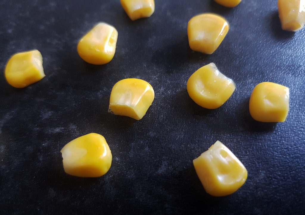 Mais, Maiskörner, Zea mays