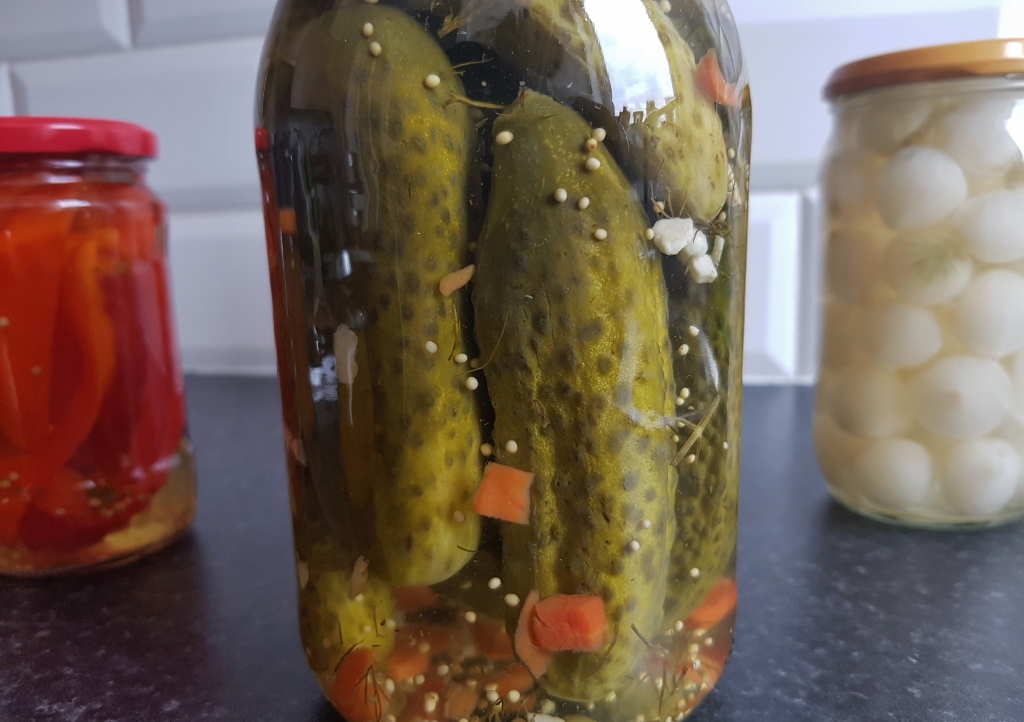 Eingemachtes, Eingelegtes, saure Gurken, Essiggurken