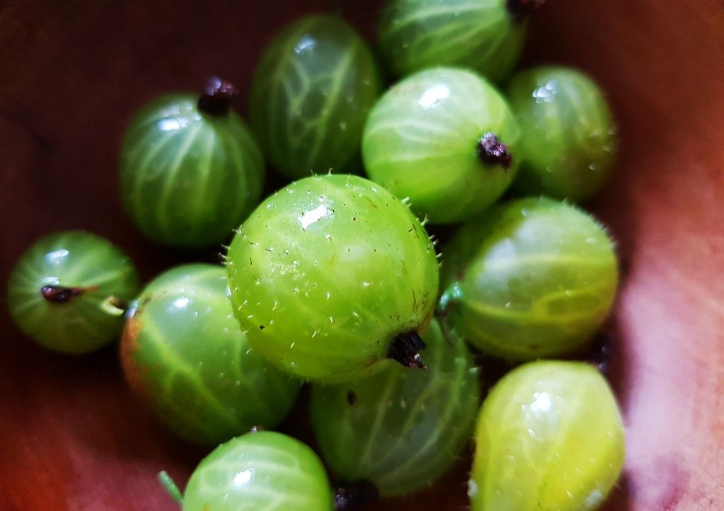 Stachelbeere, Stachelbeeren
