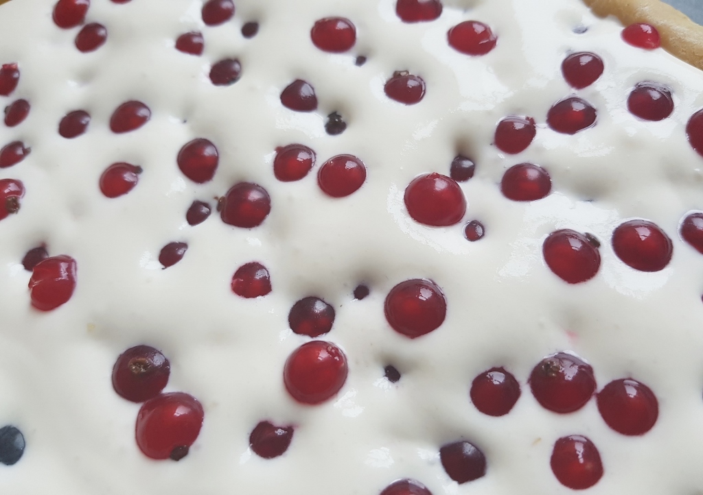 Redcurrant Cheesecake, Bloody Redcurrant Cheesecake, Johannisbeer-Käsekuchen, Käsekuchen, Halloween, Rezepte
