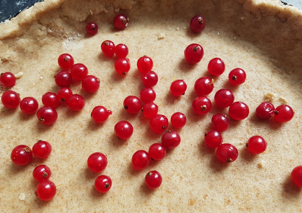 Redcurrant Cheesecake, Bloody Redcurrant Cheesecake, Johannisbeer-Käsekuchen, Käsekuchen, Halloween, Rezepte