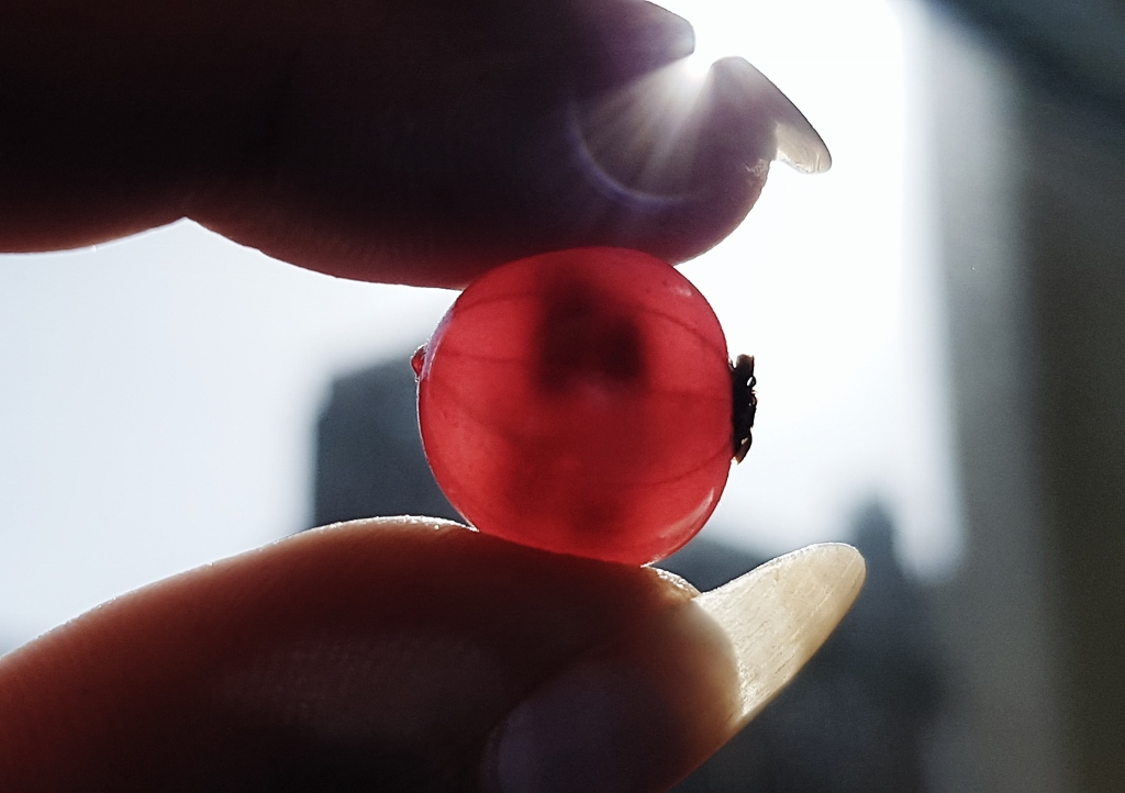 Johannisbeere, Johannisbeeren, Johannisber-Gelee
