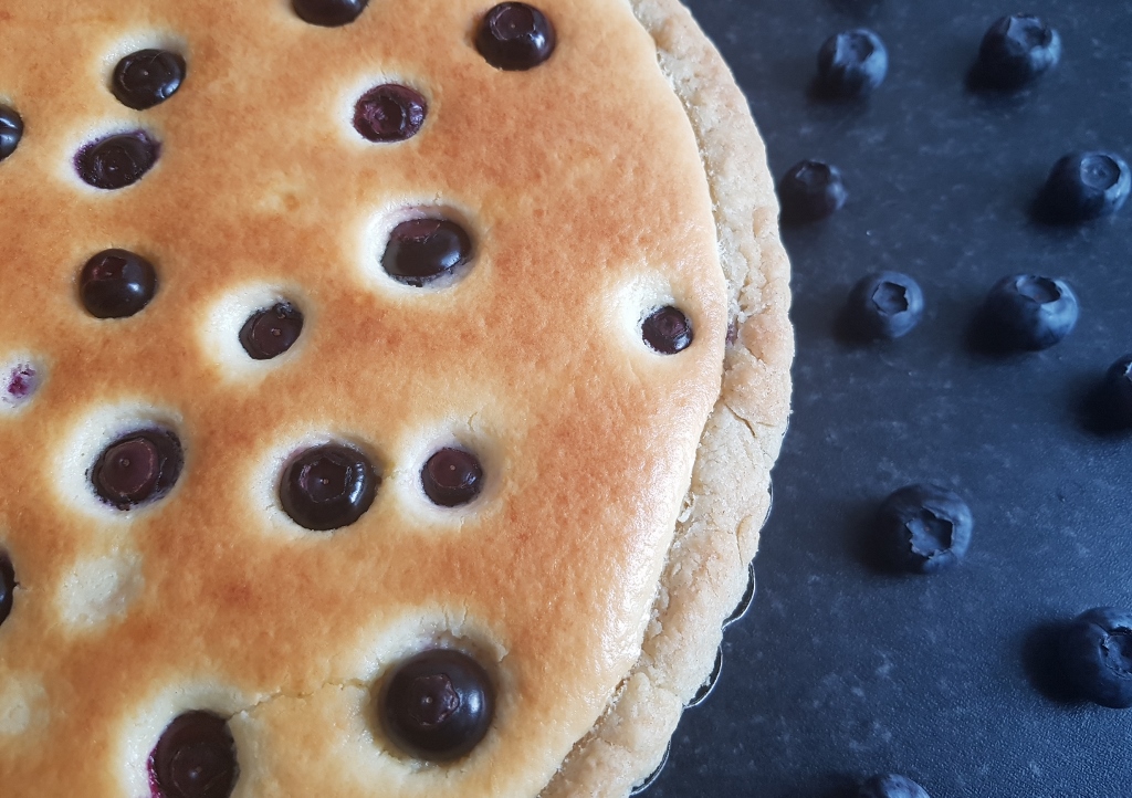 Blueberry Cheesecake, Spooky Blueberry Cheesecake, Halloween, Rezepte