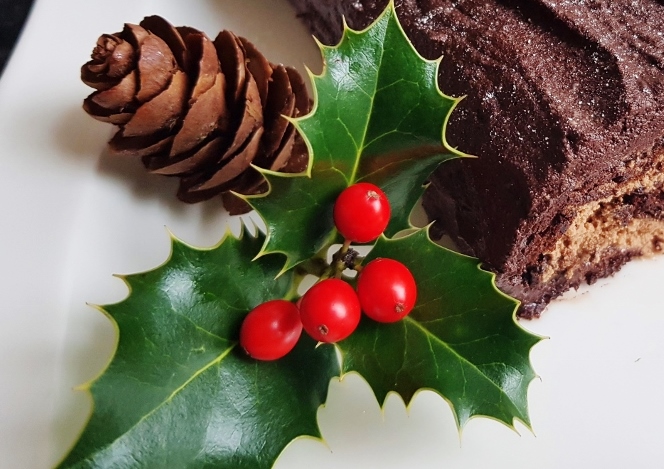 Jul, Julfest, Wintersonnwende, Yule, Yule Log, Farben, Heilsteine, Kräuter, Bräuche