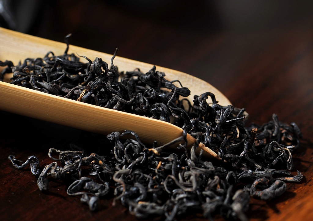 Tee, Teekräuter, Schwarzer Tee, Teepflanze, Kamelie, Camellia sinensis, Teestrauch, Teeblätter, Ernte